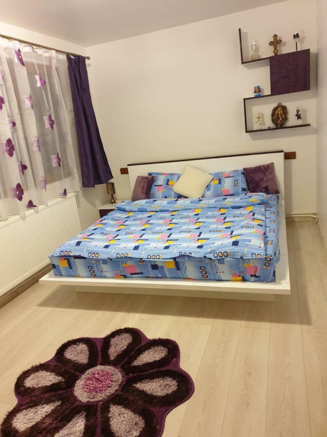 Apartament Oana'S Home Orşova Εξωτερικό φωτογραφία